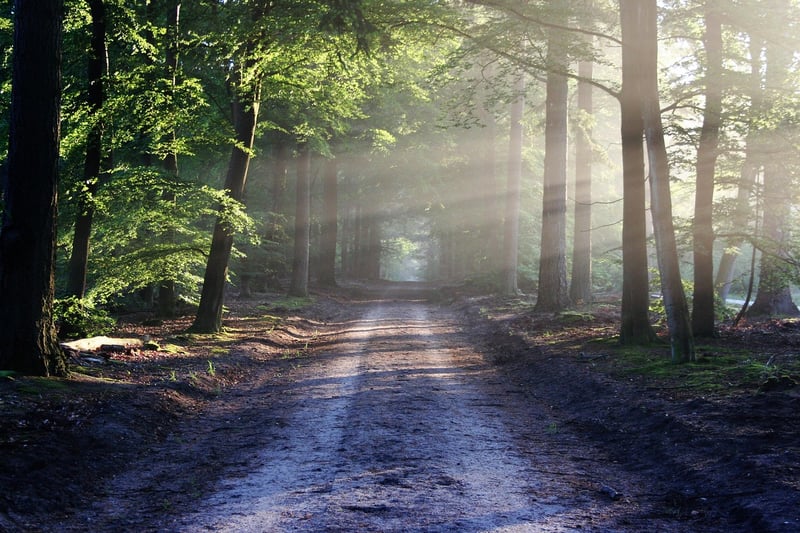 Walking in Silence