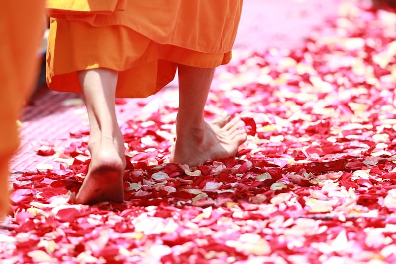 Conscious Walking